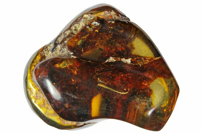 Polished Chiapas Amber ( g) - Mexico #114777